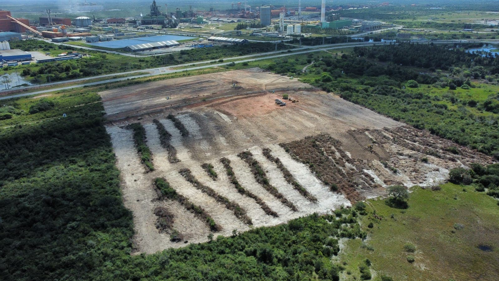 FRACHT PECEM - SUPRESSÃO VEGETAL – 10 Ha