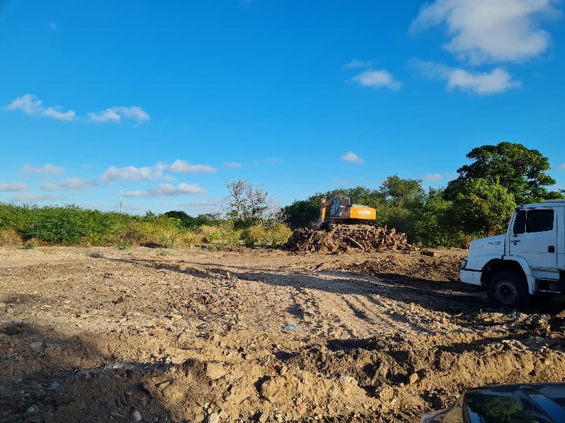 LAGO MONTENEGRO - SUPRESSÃO VEGETAL – SISTEMA VIÁRIO 50 Ha